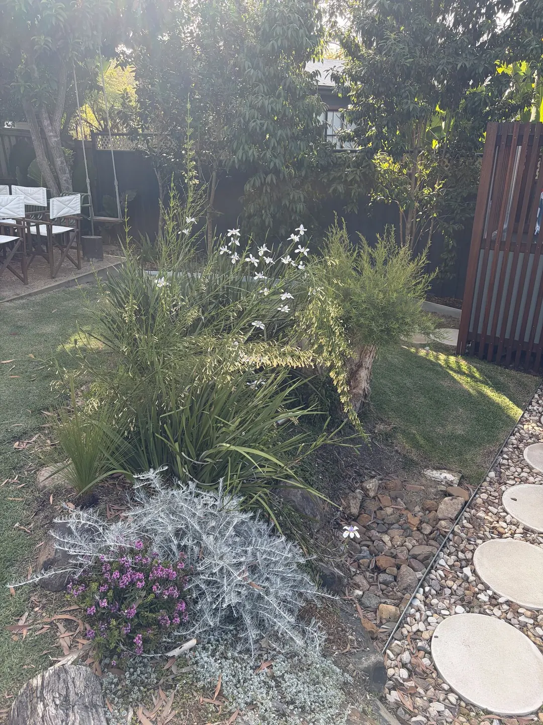 Garden bed of white wild irises, silver foliage and pink flowers beside round stepping stones set in river pebbles
