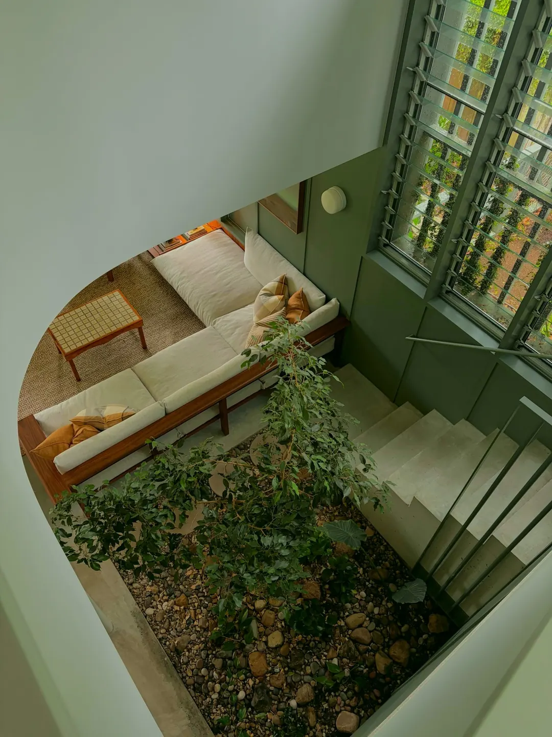 Looking down the stair into the indoor garden, a fig tree growing among river stones beside a timber-framed sofa and a tiled coffee table